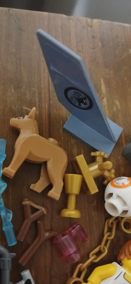 Lego USADO Lote de Piezas Raras Mixtas Perro Honda Varita Mapa Grifo Cadenas y Más Foto 4 de 4