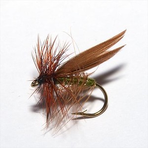 Premium Fliegen Caddis und Sedge Selection Premium Fliegen Caddis und Sedge Selection