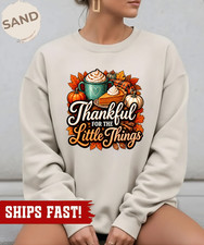 Thankful For The Little Things Sweatshirt Fall Pumpkin Thanksgiving Cozy Gift