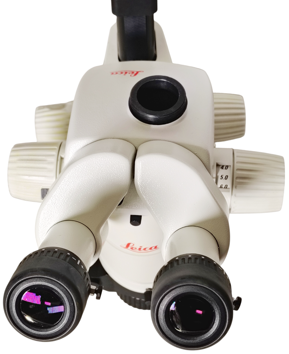 Leica MZ95 Stereo Microscope | eBay