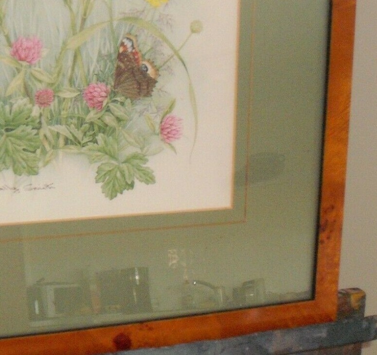 Picture 4 of 6