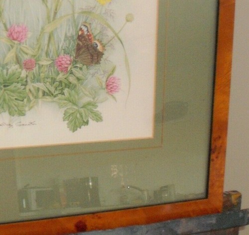 Framed Watercolour Painting Signed English Flowers Buttercup Peacock Butterfly - Picture 4 of 6