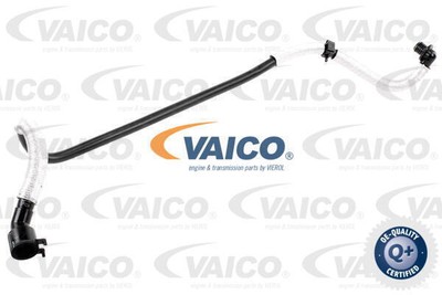Tuyau à Dépression Freinage VAICO V10-3626 - Compatible Volkswagen Golf IV, Audi TT, Seat Leon, Etc. - 7