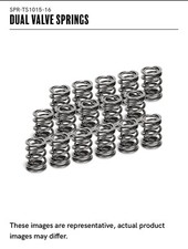 SuperTech Valve Springs