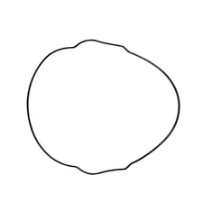 Namura Outer Clutch Cover Gasket for Yamaha Replaces OEM# 33D-15453-00-00