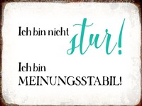 Holzschild 30X40 Cm Bin Nicht Stur Meinungsstabil Deko Geschenk Holz Schild