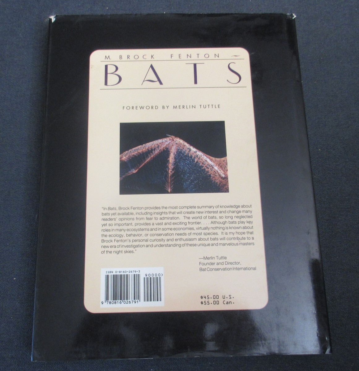 洋書　BATS     M. BROCK FENTON Amazon.com: Bats: A World of Science and Mystery