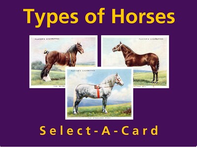 Spielertypen von PFERDEN (Shire, Suffolk, Ponys etc.) - Select-A-Card
