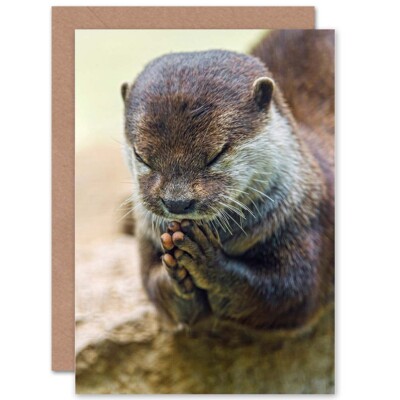 Niedliche Otter Affecting Gebet Blanko Grußkarte mit Umschlag