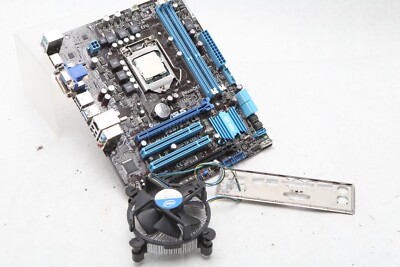 ASUS Motherboard P8B75-M LE + Intel Celeron G550 CPU F52