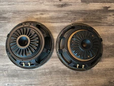 Electro-Voice EVI-12 12" Speakers – Pro-Grade, 8 Ohm, Full-Range Pair Tested