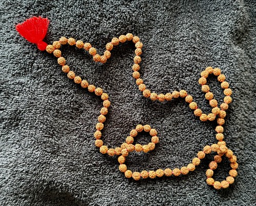 Rudraksha Knotted Japa Mala 108 Beads Hindu Prayer Chanting Necklace