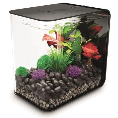 biOrb Nano-Aquarium Komplett-Set FLOW 15 LED schwarz