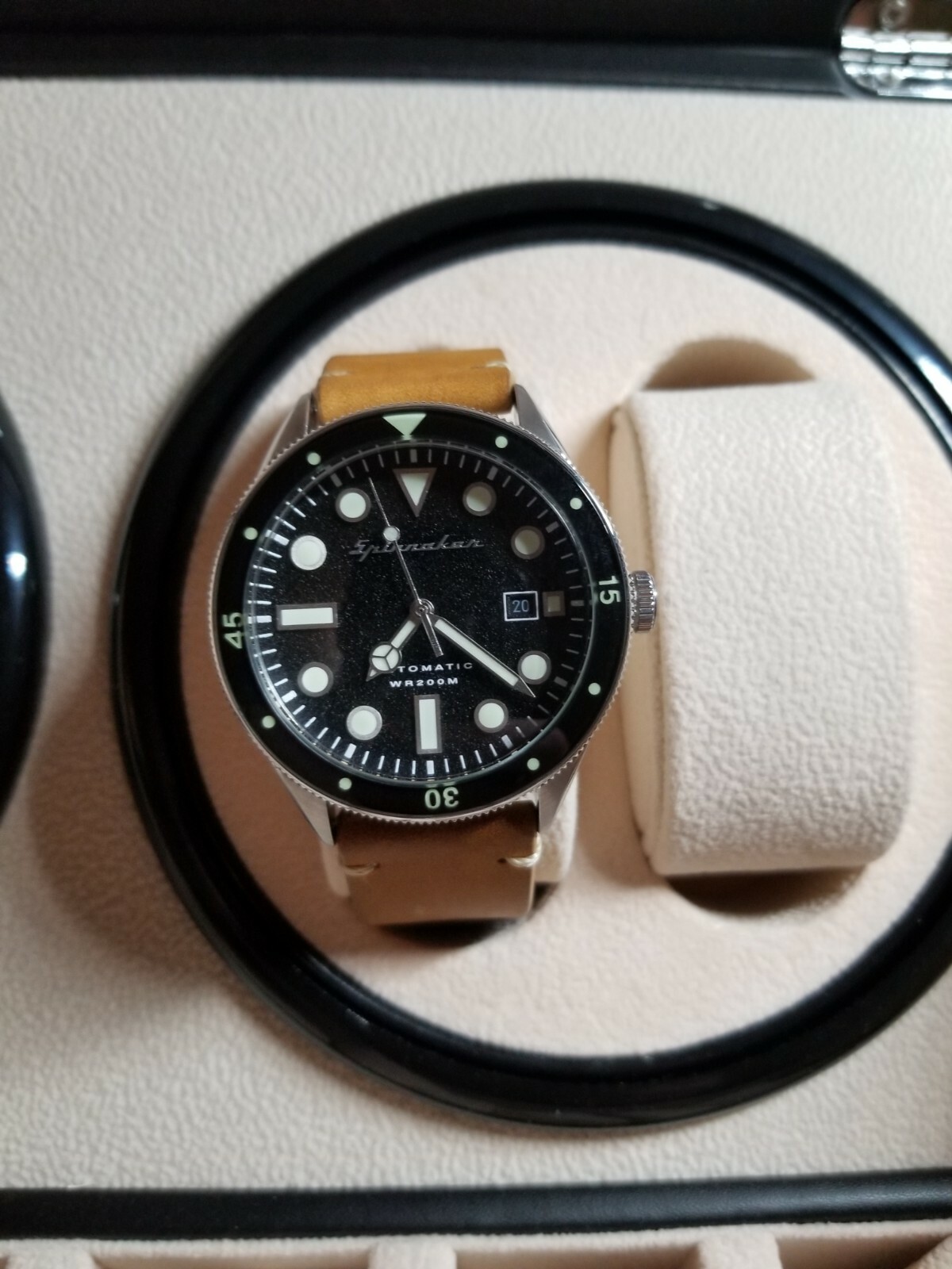 spinnaker cahill diver