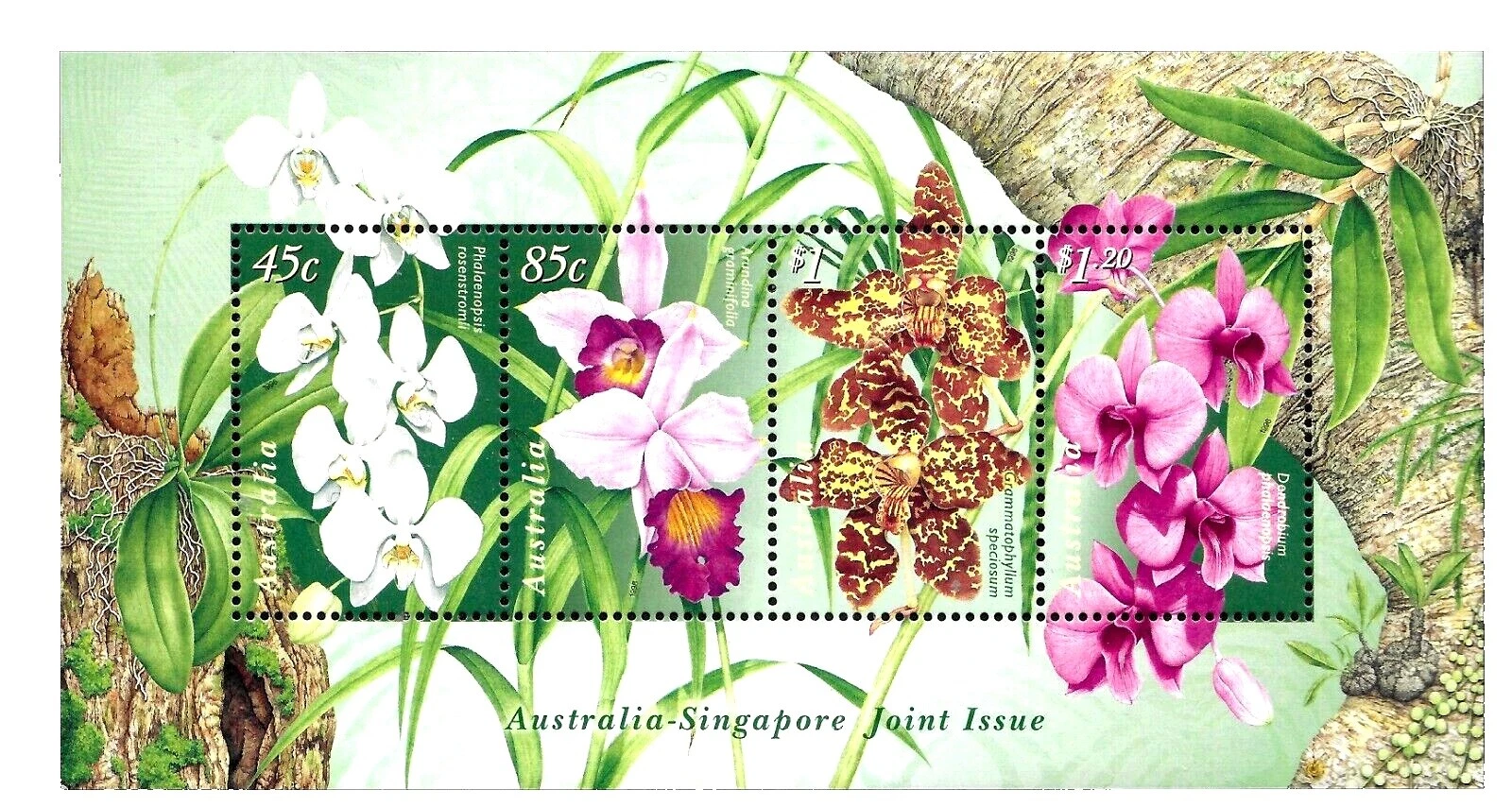 Flores Multicolor estampillas australianas