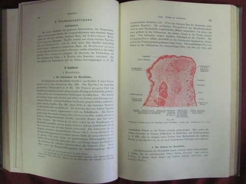 ANTIQUE 1915 GERMAN MEDICAL HARDCOVER BOOK - HISTOLOGIE - Picture 8 of 14