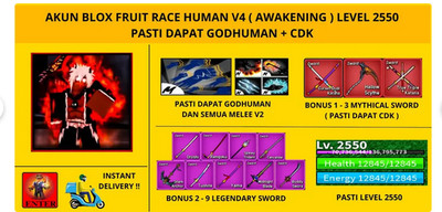 Akun Blox Fruit Level Max Human V4 (Despertar) Pasti Dapat CDK + Godhuman