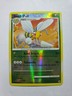 Pokémon TCG Beedrill 13/106
