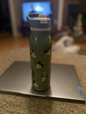 Disney-ZAK brand-Steel insulated-20oz-Water bottle-Mickey and Minnie Sage