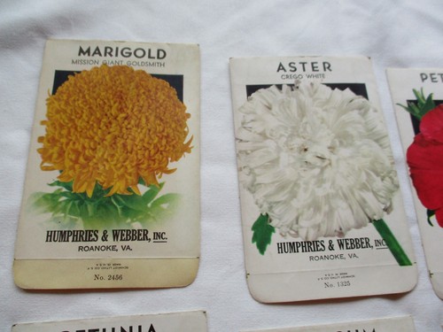 Lot of 10 Antique HUMPHRIES & WEBBER Flower Seed Packet Envelopes  New Old Stock - Picture 2 of 8