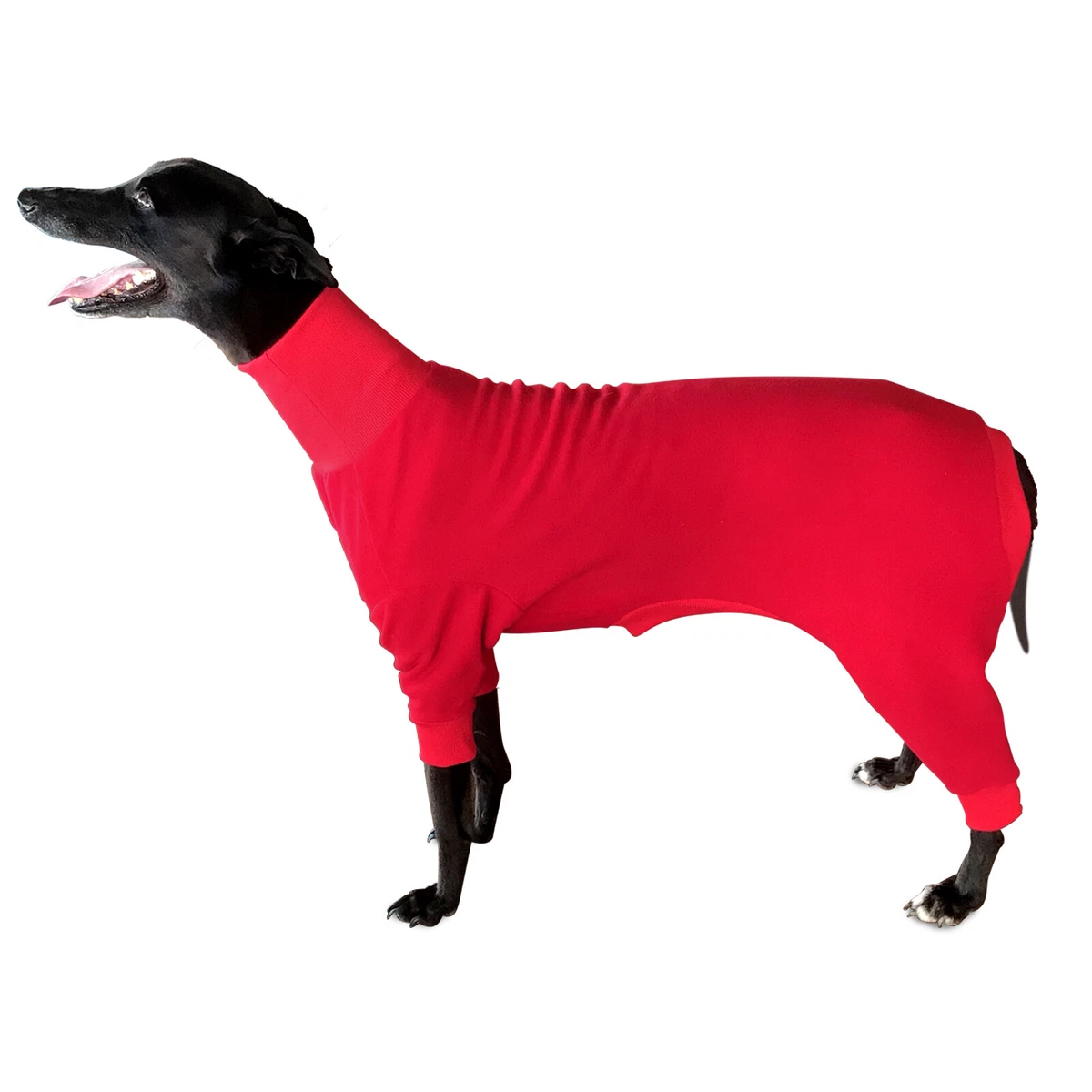 Greyhound pajamas cheap australia