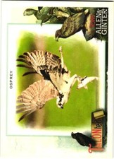 2023 Allen & Ginter TALON-ted insert singles *Free Shipping*