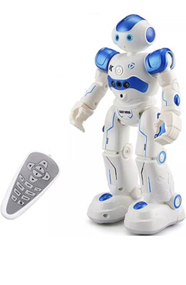 CADY WINNI - Intellectual Gesture Control Robot For Entertainment.