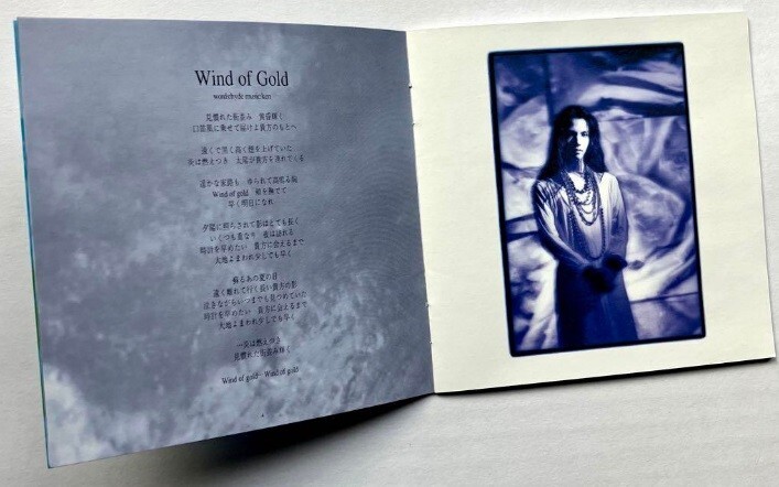L'ARC~EN~CIEL TIERRA CD ALBUM JPOP ROCK LIMITED EDITION RARE
