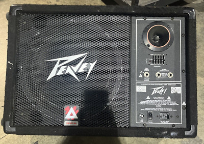 PEAVEY 112PM SPEAKER INTEGRATED | eBay