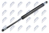 Nty AE-AU-007 Gasfeder, Kofferraum-/Laderaumbereich FüR Audi