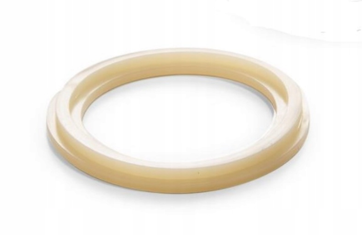 INTEX 10745 Valve Protection Gasket