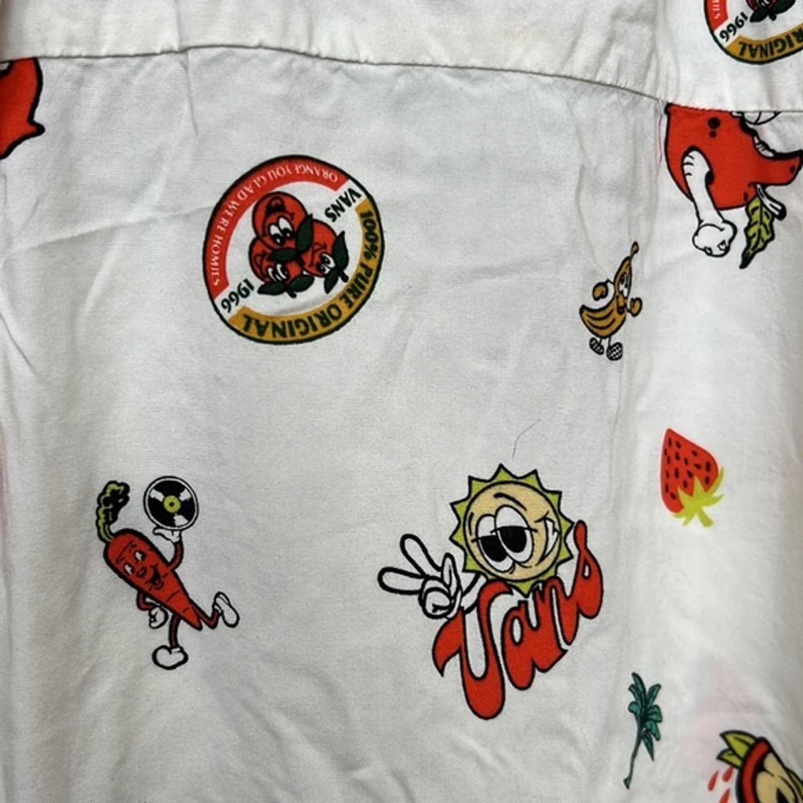Vans Classic Fit Graphic Button Down Shirt image 9