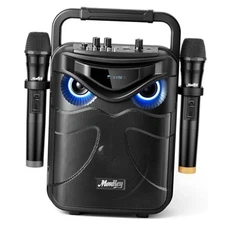  Portable Karaoke Machine with 2 Wireless Microphones, Bluetooth PA Speaker 