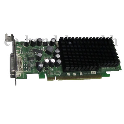 FSC nVIDIA GeFORCE 6200 LE 128 MB DVI-I LOW PROFIL FUJITSU SIEMENS PCIe VGA