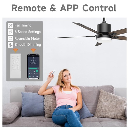 Sky sea Ceiling Fan with Light: Low Profile Black Ceiling Fan with Light and - Picture 3 of 9