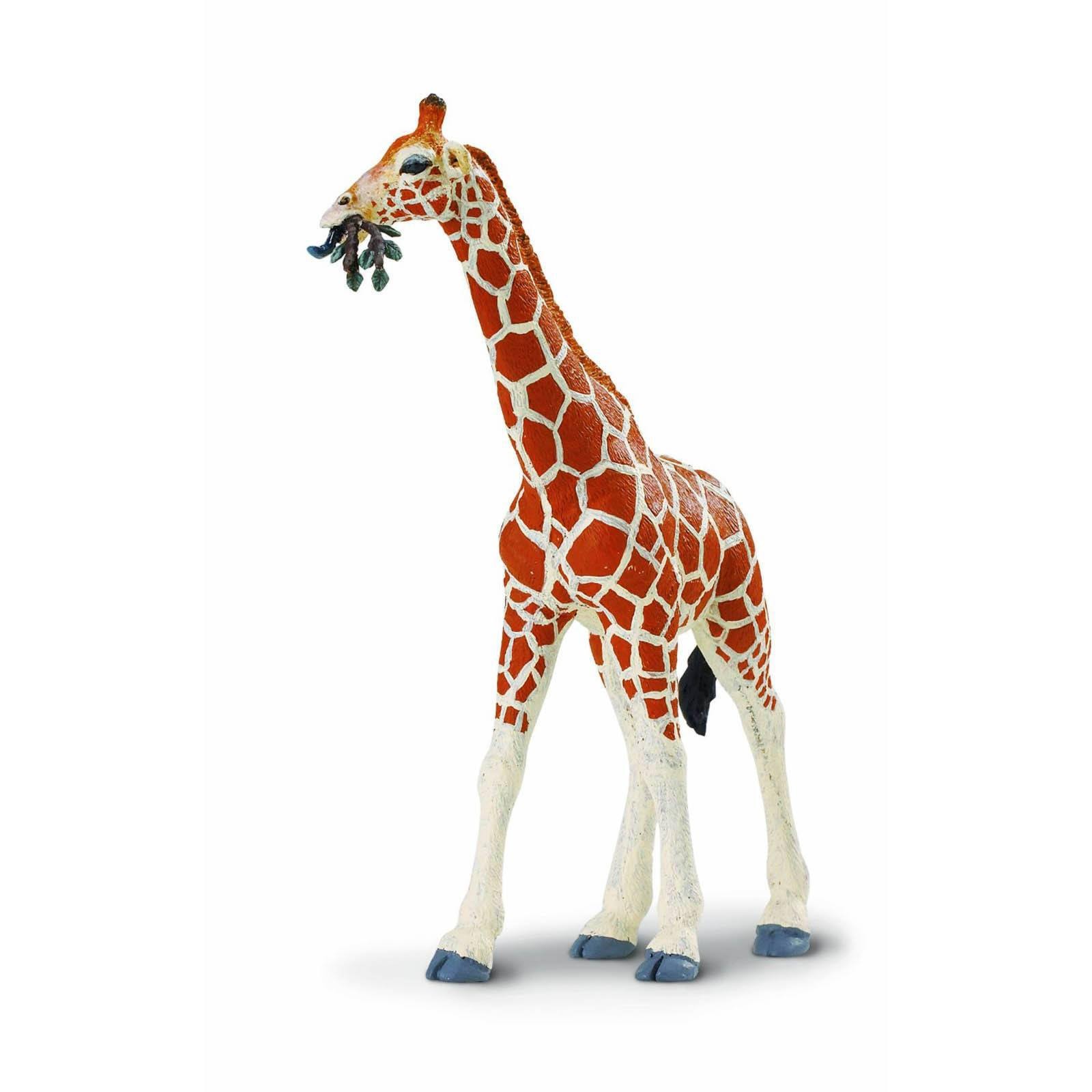 Reticulated Giraffe Wildlife Figure Safari Ltd NEW 3090₽