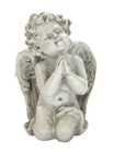 Foto 13 di 47