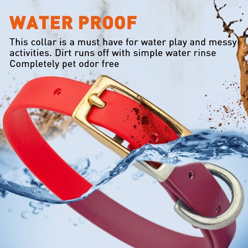 Viper Biothane Collar with Brass Hardware