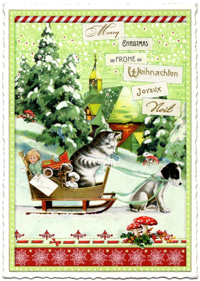 Bild 17 von 52