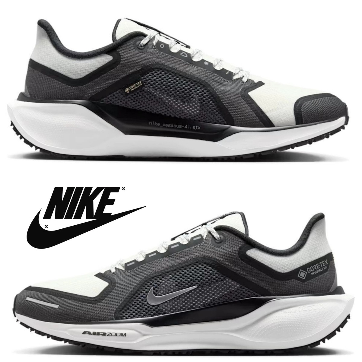 Nike Pegasus 41 GORE-TEX Men display picture 1