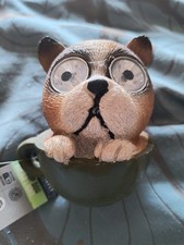 Image of Solar Dog In Tea Cup. Resin with solar eyes. Perfect For Any Outdoor Space. New.
