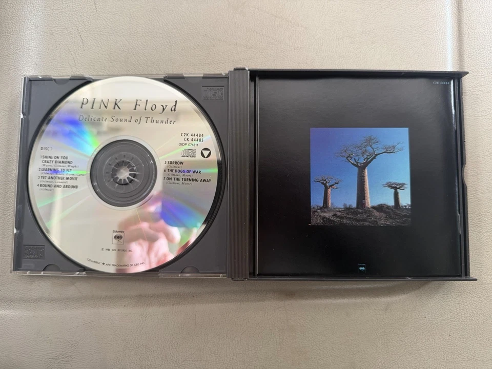 Pink Floyd Delicate Sound of Thunder 2 CD Set Good Condition - Image 2 of 4