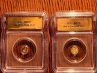 Lot Of Two(2) 1/200 Oz 999 Fine Gold Rounds *Day Of The Dead* Mint Condition