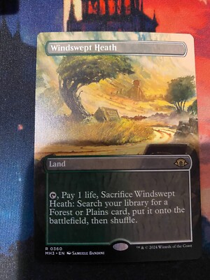 MTG Modern Horizons 3 Windswept Heath Borderless