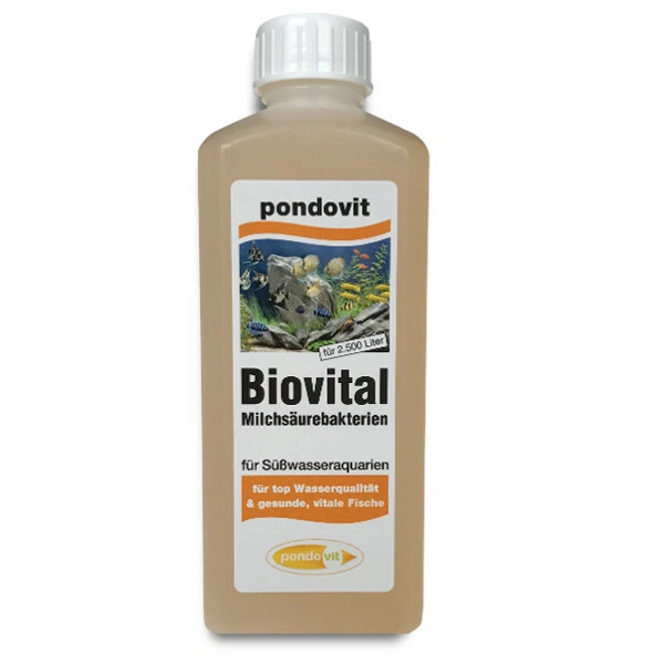 Milchsäurebakterien Biovital - 250 ml probiotische Filterbakterien Aquarium