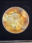 2010 AMERICAN SILVER EAGLE DOLLAR UNCIRCULATED UNC US MINT- TONED