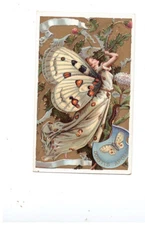CAMBRAI (59) CHROME IMAGE / CHICOREE PROTECT-DELATRE / Hybrid WOMAN-BUTTERFLY