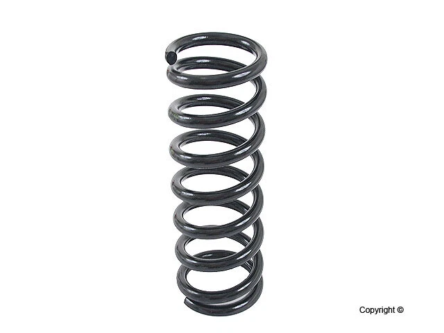 Muelle helicoidal Lesjofors para Mercedes-Benz 4256815 Foto 2 de 4