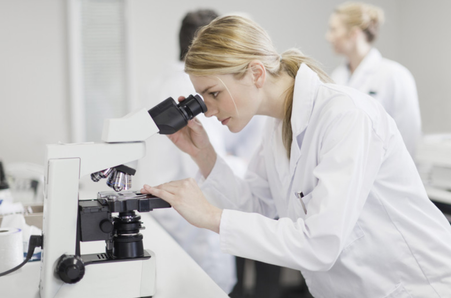 Asbestos Testing Kit - 1x Sample Only - UKAS Laboratory 2