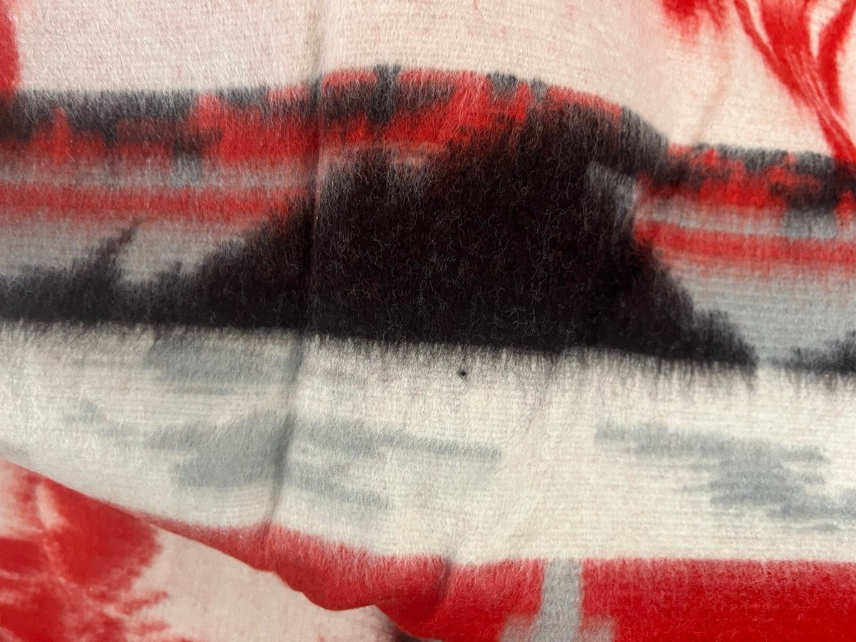 デッド 50s ビンテージ ビーコン ブランケット ネイティブ インディアン Vintage Beacon Blanket Reversible Indians Native American